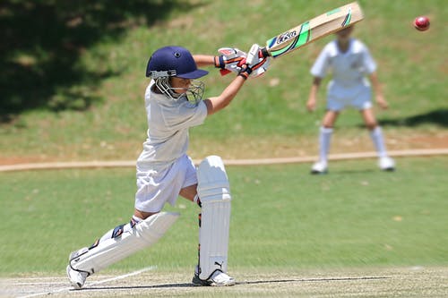 Cricket Image 3
