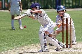 Cricket Image 2