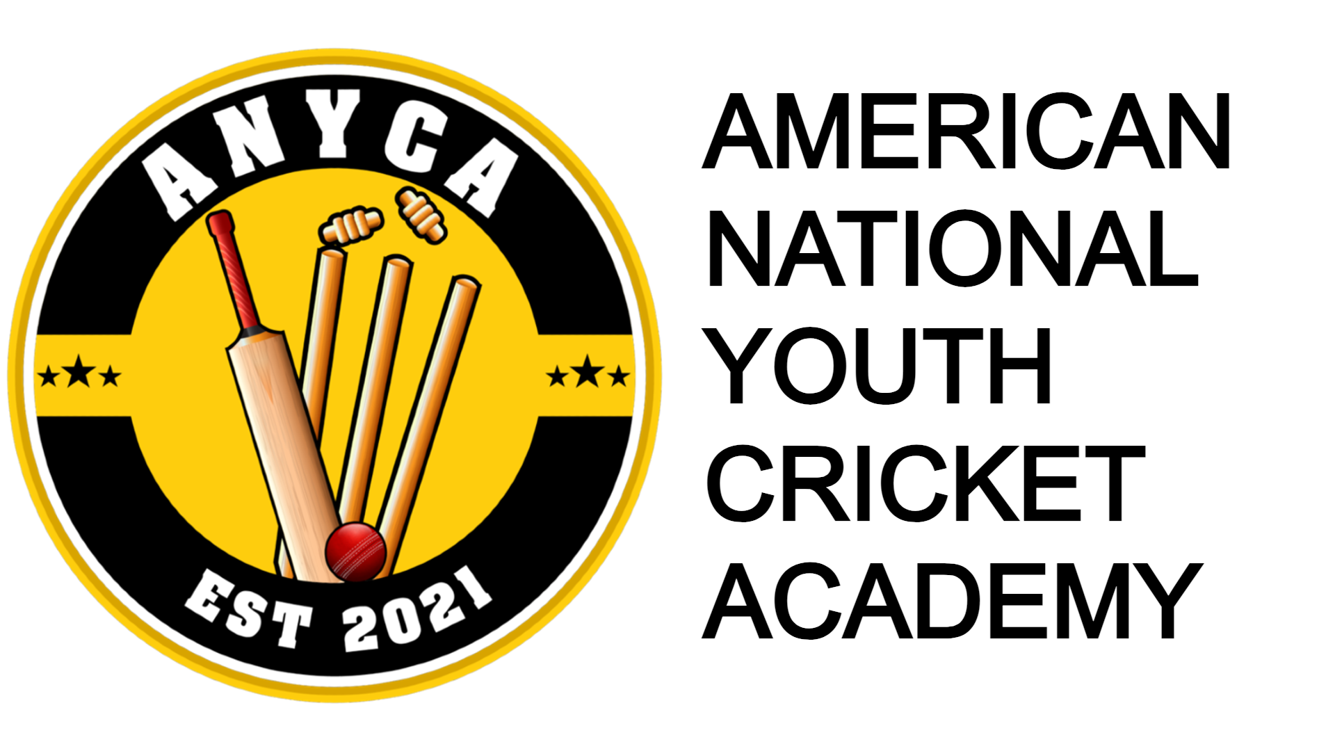 ANYCA Logo